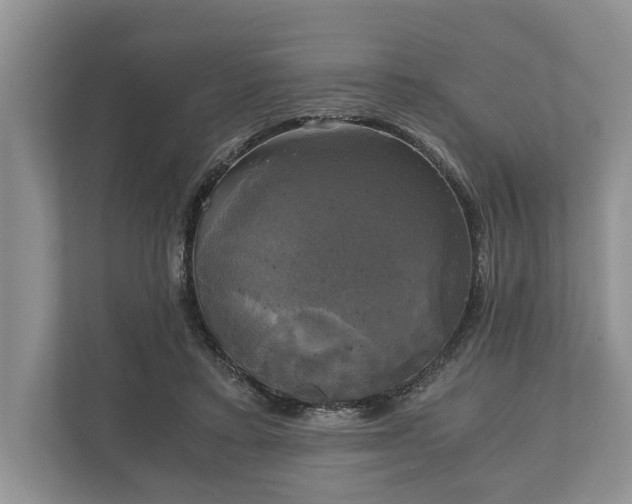 X0000110320403200905281637