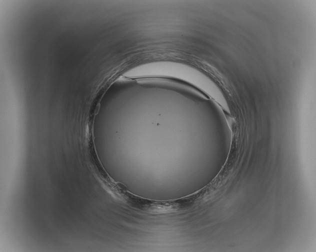 X0000110320405200905281637