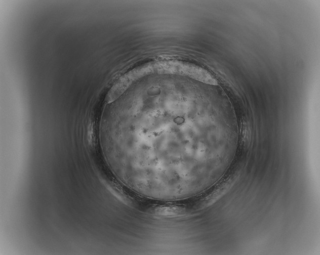 X0000110320408200905281636