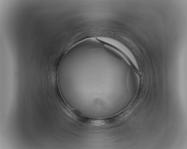 X0000110320409200905281636