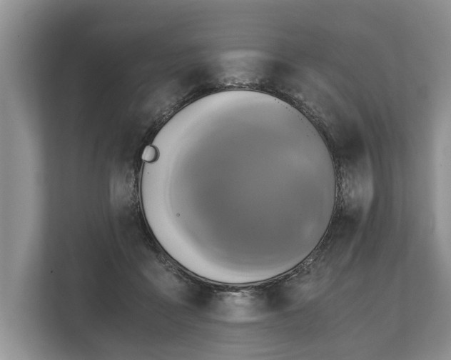 X0000110320411200905281636