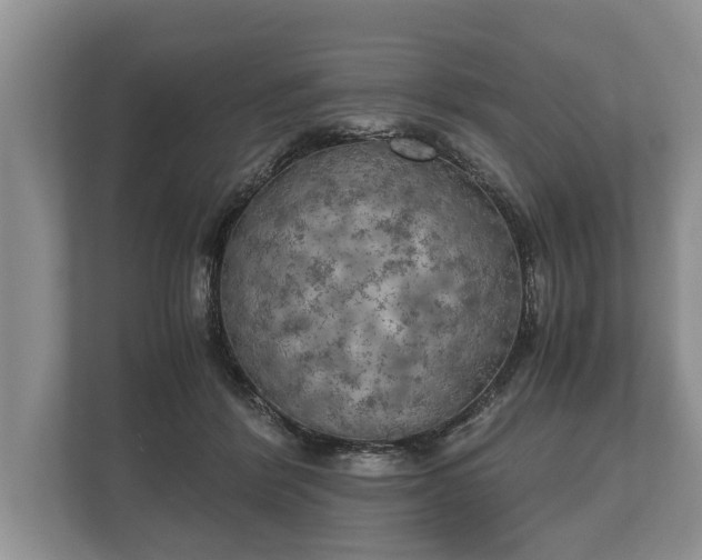 X0000110320412200905281636