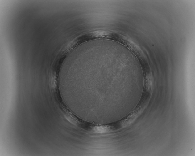 X0000110320413200905281636