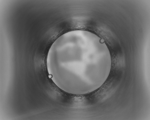 X0000110320415200905281636