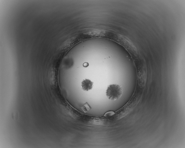 X0000110320416200905281636