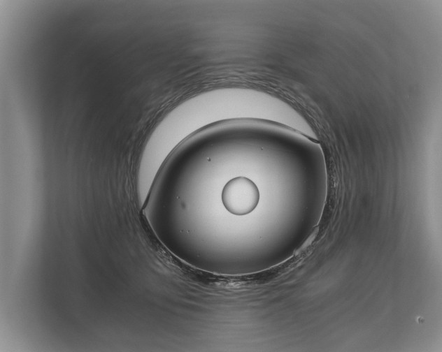 X0000110320419200905281636