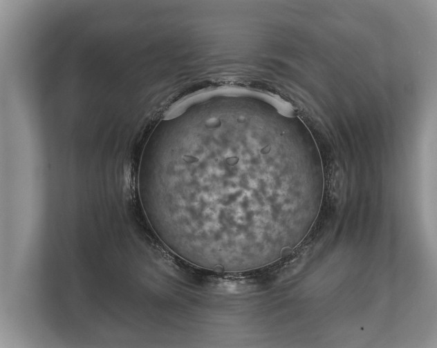 X0000110320420200905281636