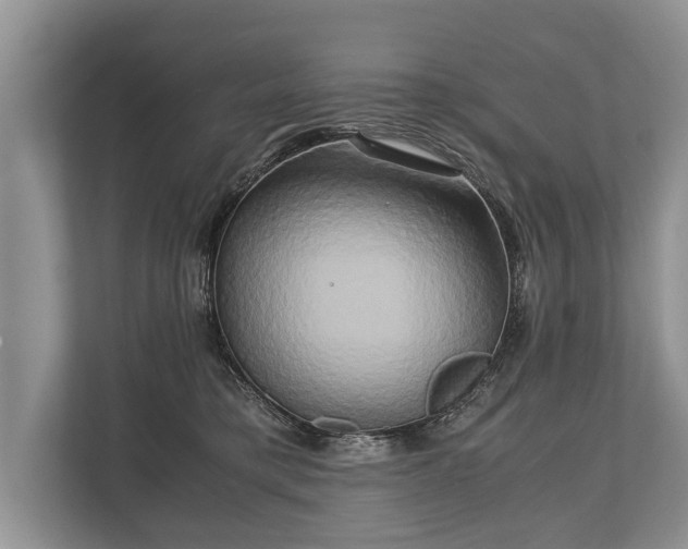 X0000110320421200905281636