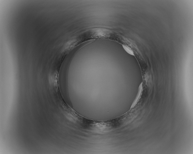 X0000110320423200905281636