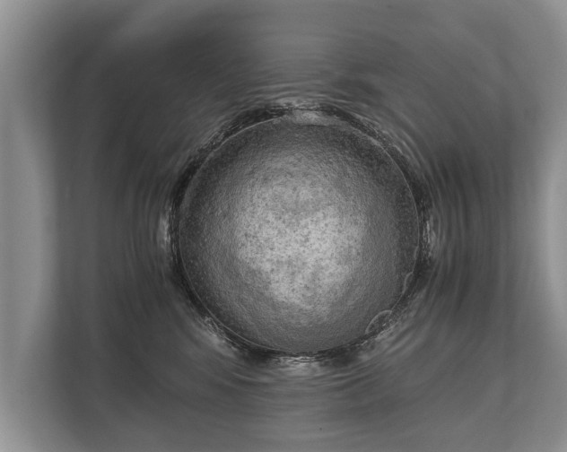 X0000110320424200905281636