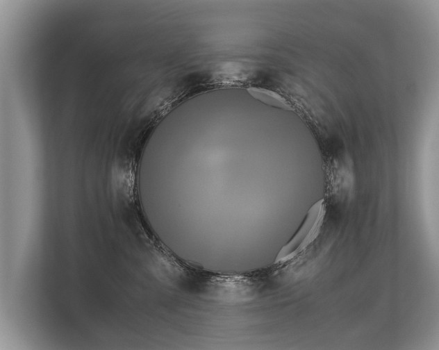 X0000110320427200905281636