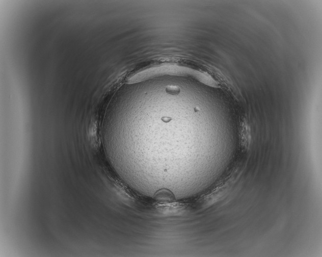 X0000110320428200905281636