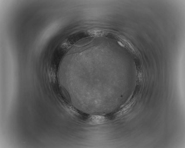 X0000110320429200905281636