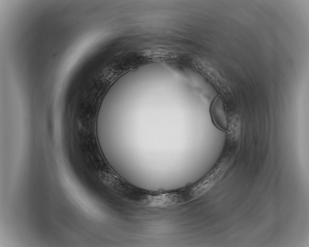 X0000110320430200905281636