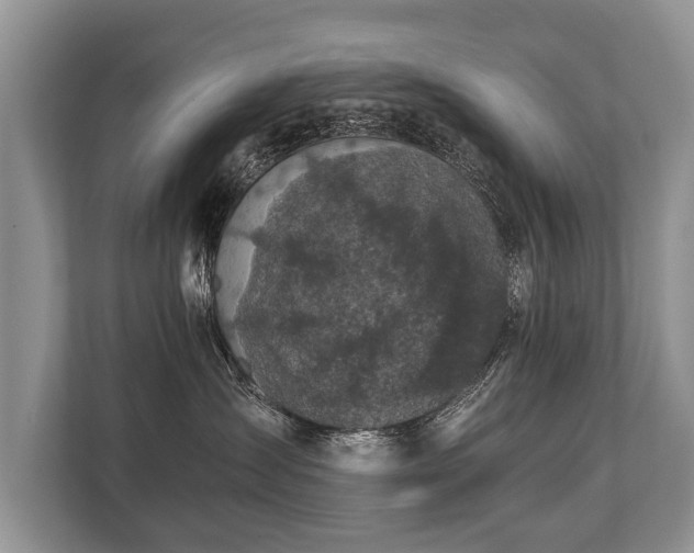 X0000110320431200905281636