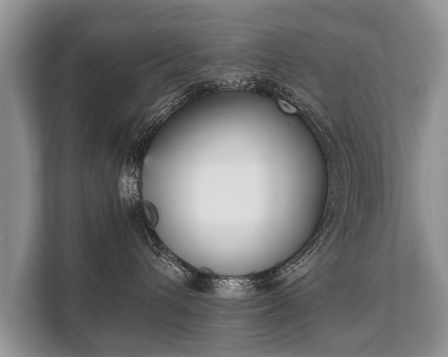 X0000110320432200905281636