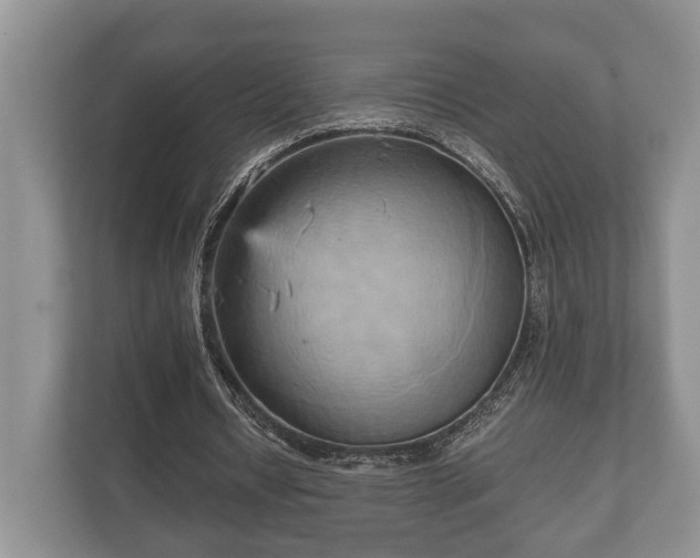 X0000110320434200905281636