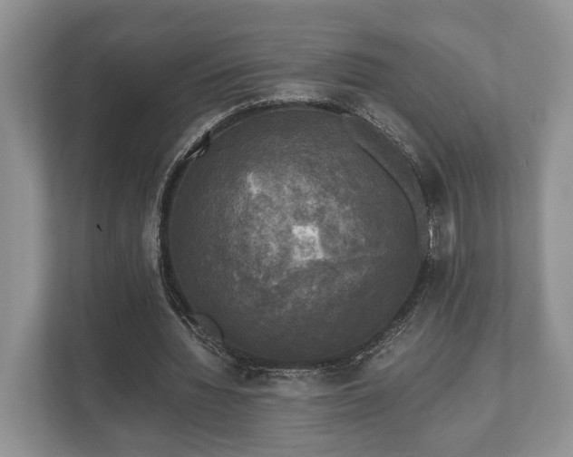 X0000110320436200905281636