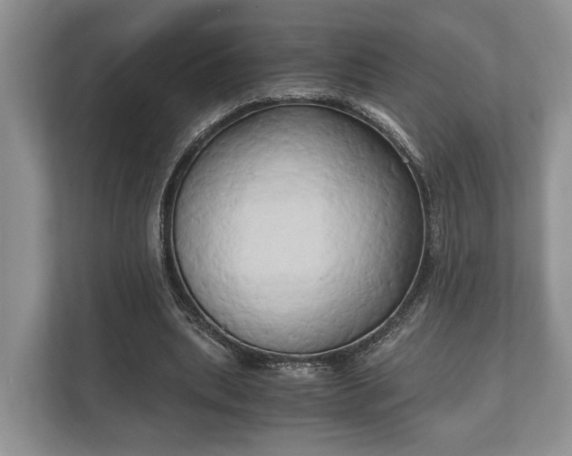 X0000110320439200905281636