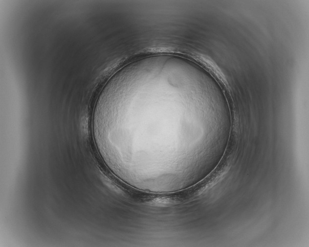 X0000110320441200905281636