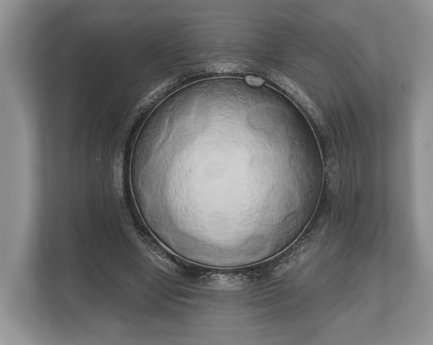 X0000110320442200905281636