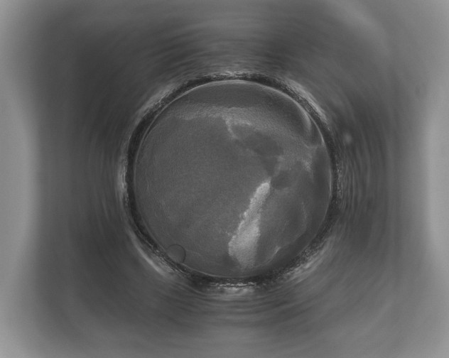 X0000110320443200905281636