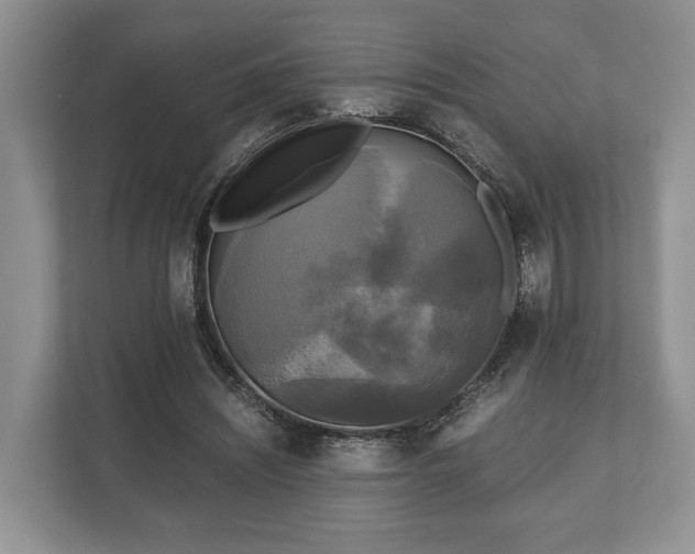 X0000110320444200905281636