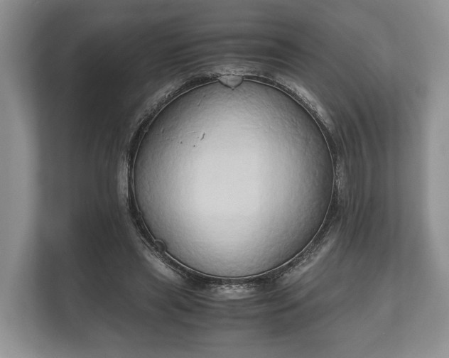 X0000110320445200905281636