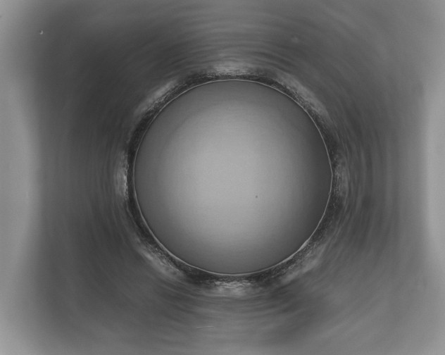 X0000110320446200905281636