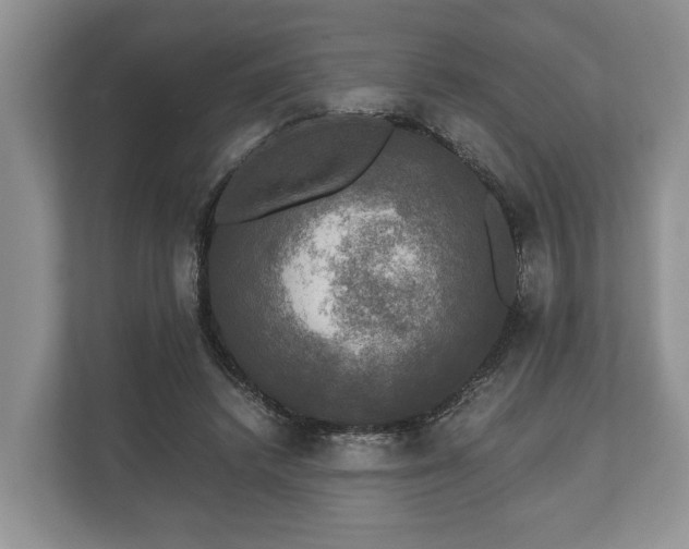 X0000110320448200905281636