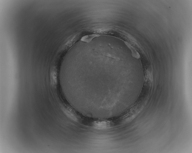 X0000110320452200905281636