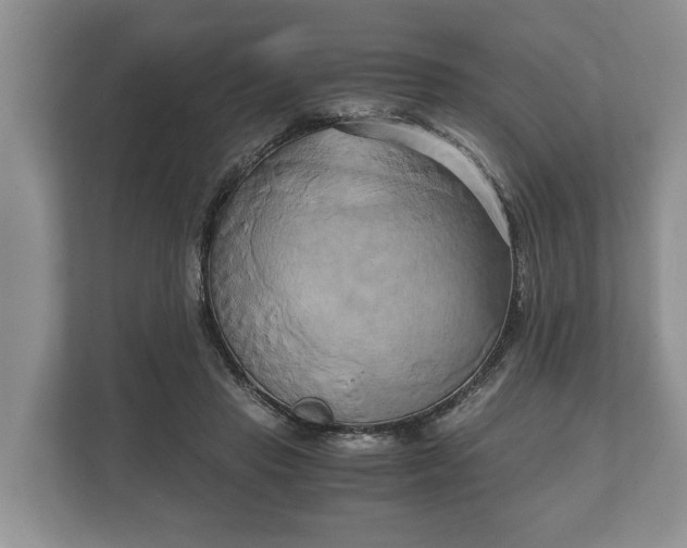 X0000110320453200905281636