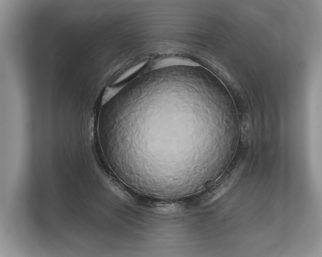 X0000110320454200905281636