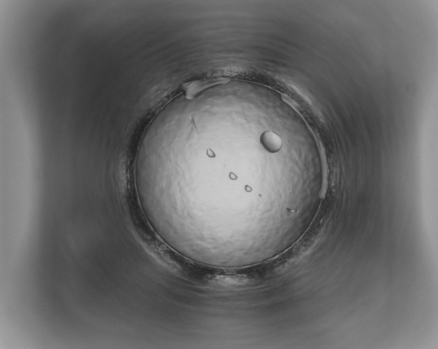 X0000110320455200905281636