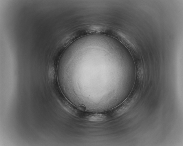 X0000110320459200905281636