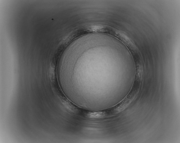 X0000110320461200905281636