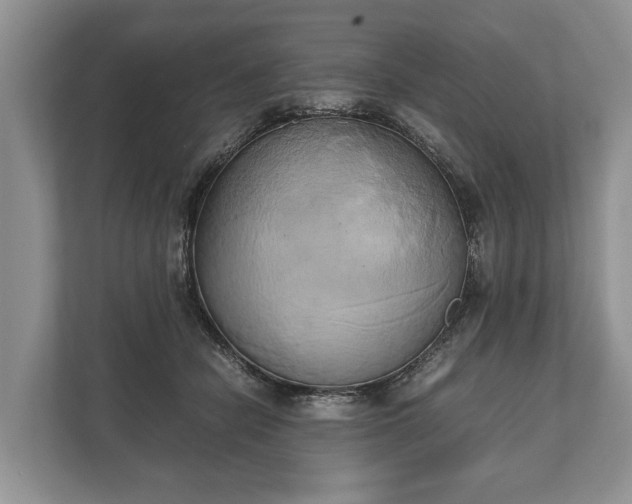 X0000110320462200905281636