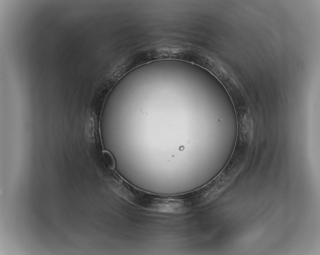 X0000110320463200905281636