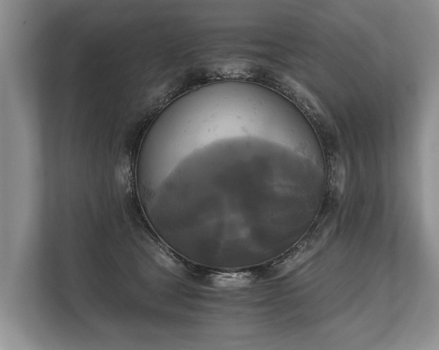 X0000110320465200905281636