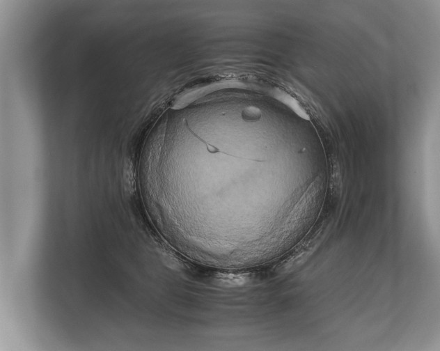 X0000110320469200905281636