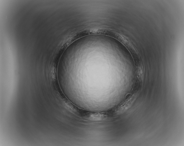 X0000110320470200905281636