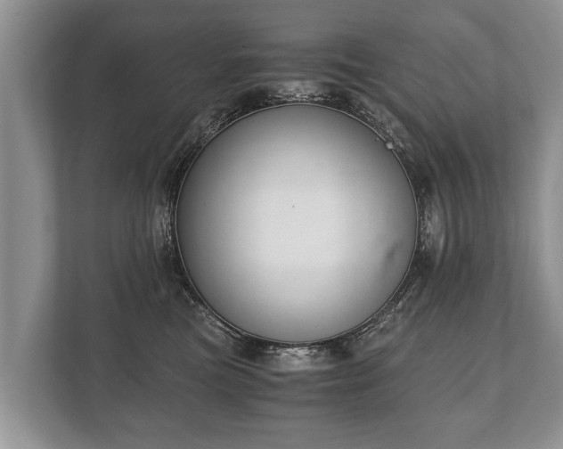 X0000110320473200905281636