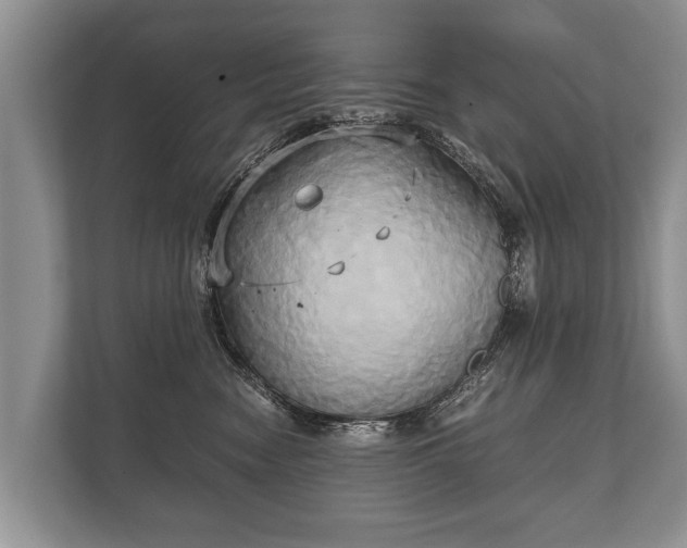 X0000110320474200905281636