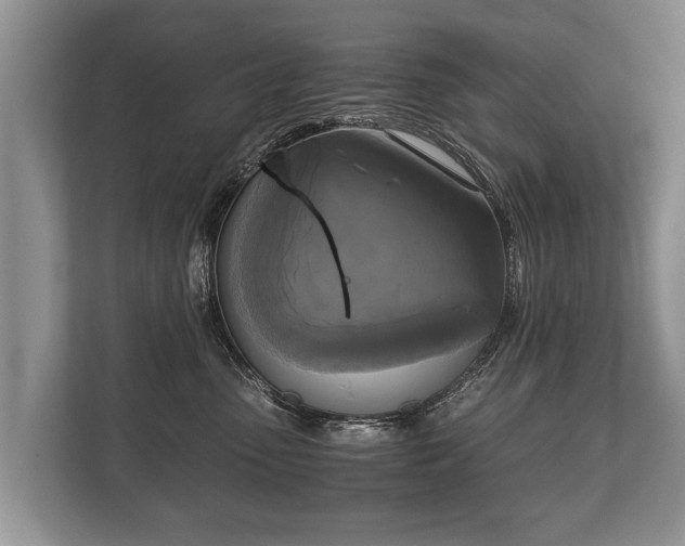 X0000110320475200905281636