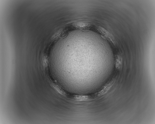 X0000110320476200905281636