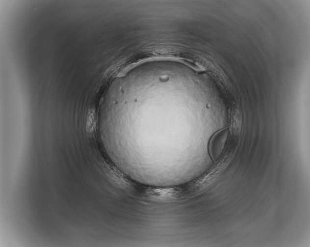 X0000110320478200905281636