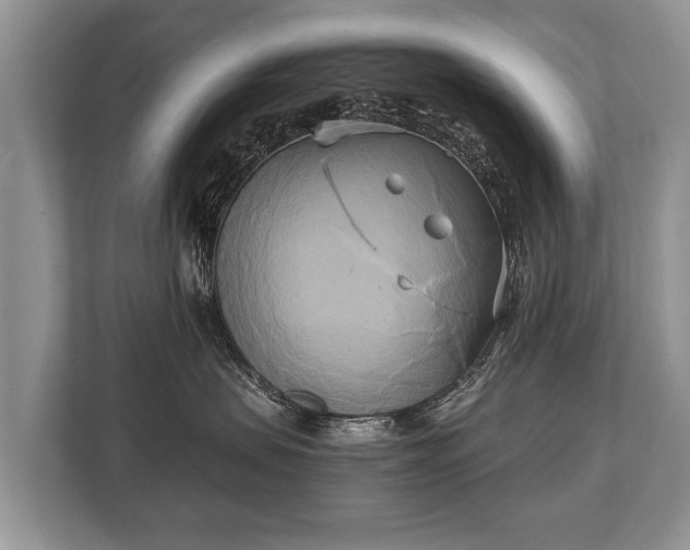 X0000110320479200905281636