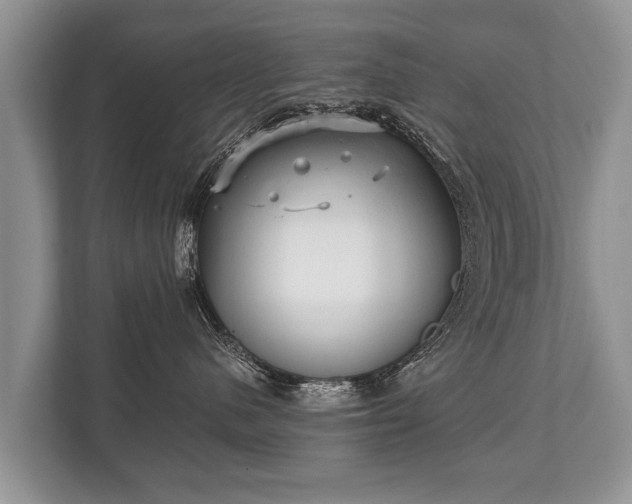 X0000110320480200905281636