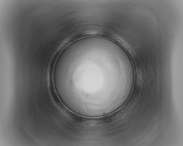 X0000110320482200905281636