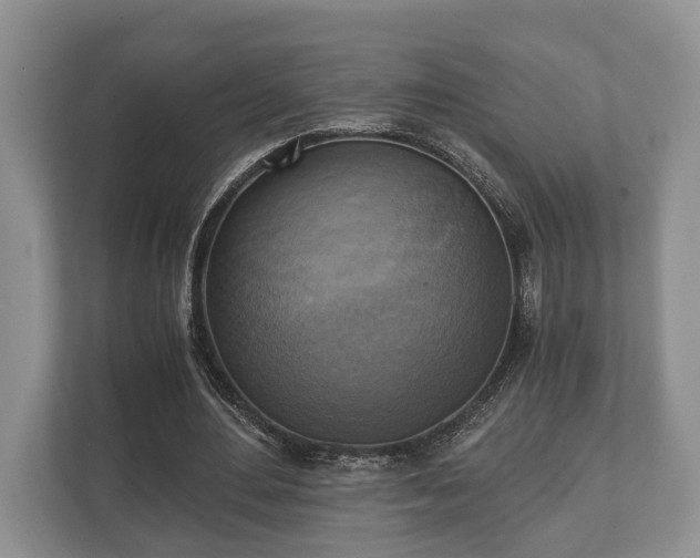 X0000110320484200905281635